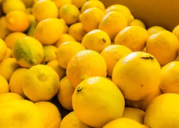 Citrom diéta, zsírégetés és méregtelenítés