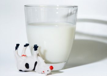 Glikémiás index (GI) diéta – látványos fogyás éhezés nélkül