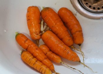 Szétválasztó diéta, tisztán egészségesen