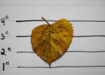 Erkölcsi bizonyítvány igénylése és ára 2021