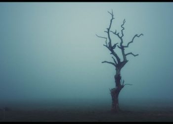 Özvegyi nyugdíj mértéke és igénylése 2021 – mikortól és meddig jár?