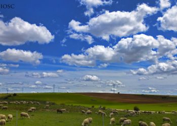 Telekadó mértéke 2021