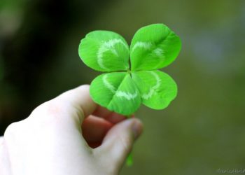 Szerencsejáték Zrt.