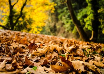 Öröklési illetékek mértéke 2021