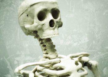 Miben van a legtöbb kalcium?