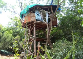 Házi őrizet, mint büntetési forma, vagy más néven Reintegrációs Őrizet