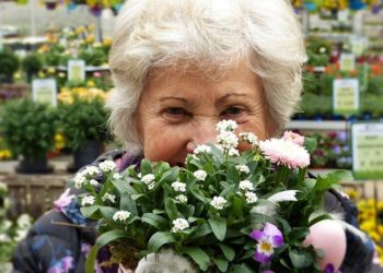 Nyugdíj utalás – utalási időpontok 2021